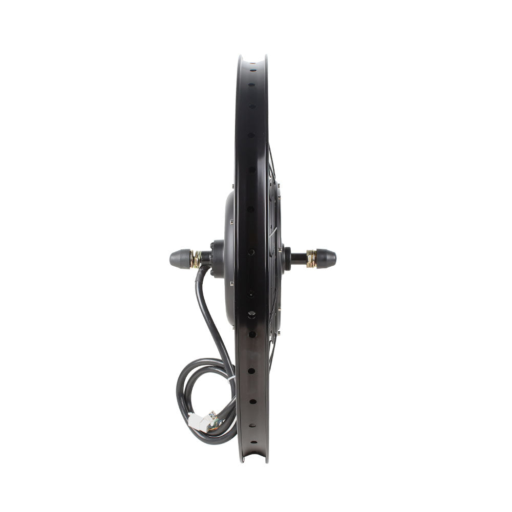1500W  Umbausatz